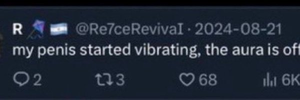 cfczin0 Profile Banner