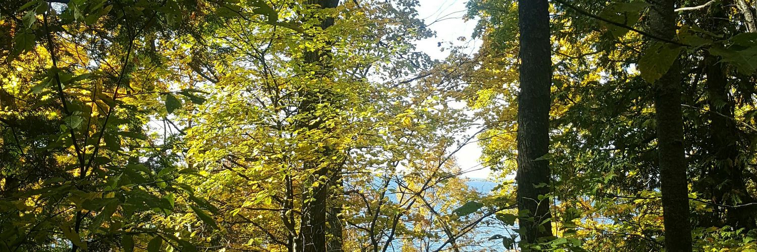 JungleMama3's profile banner image