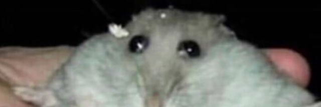 Certified RPK Owner banner