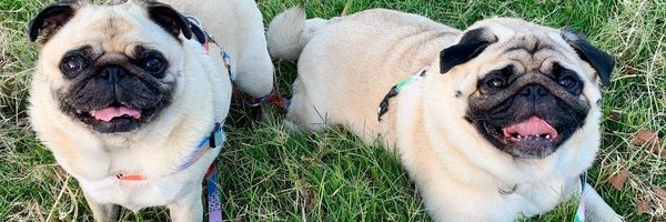 Jackson94156628 Profile Banner