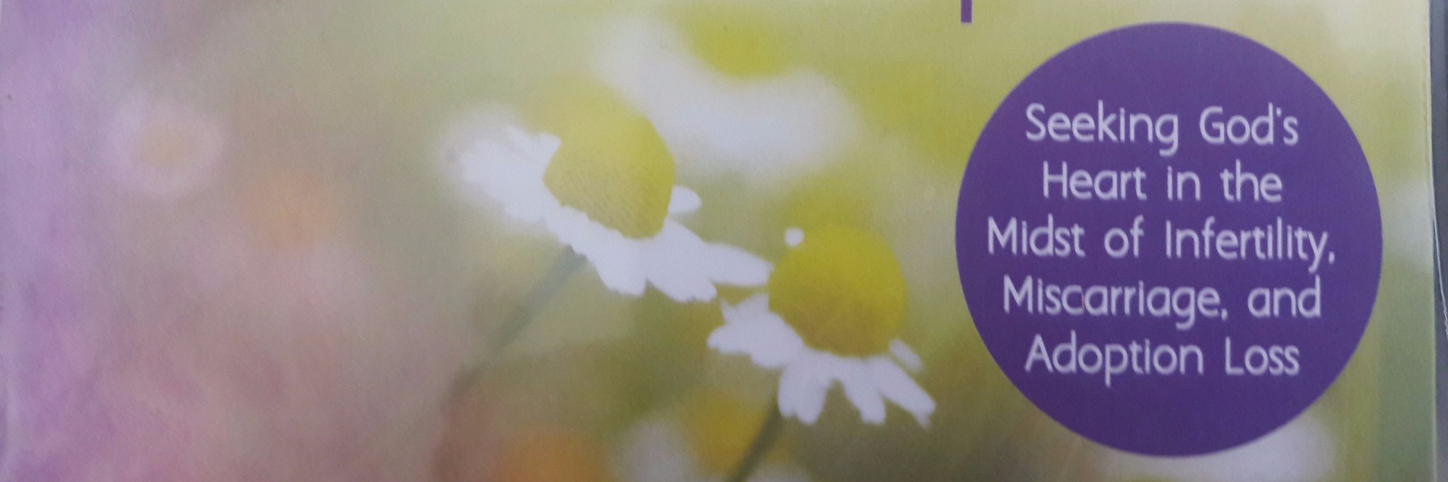 InfertilityMom's profile banner image