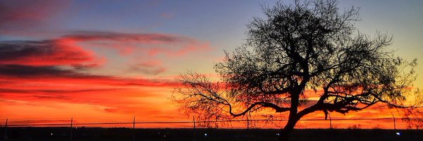 MBorogroves Profile Banner