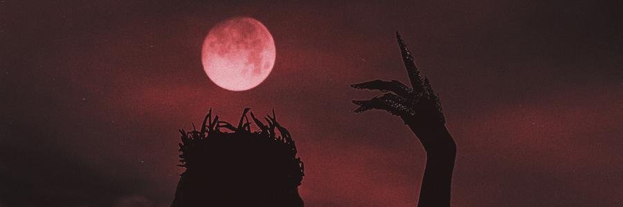 snackylils's profile banner image