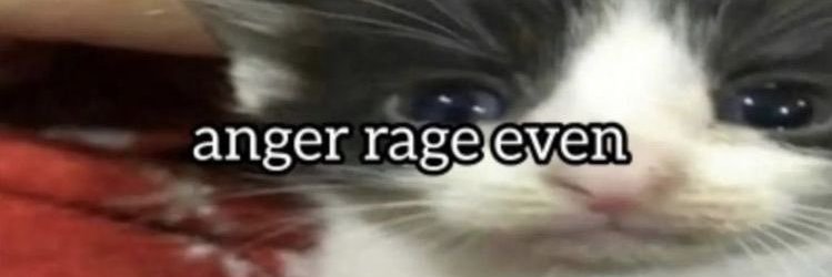 junkoely's profile banner image