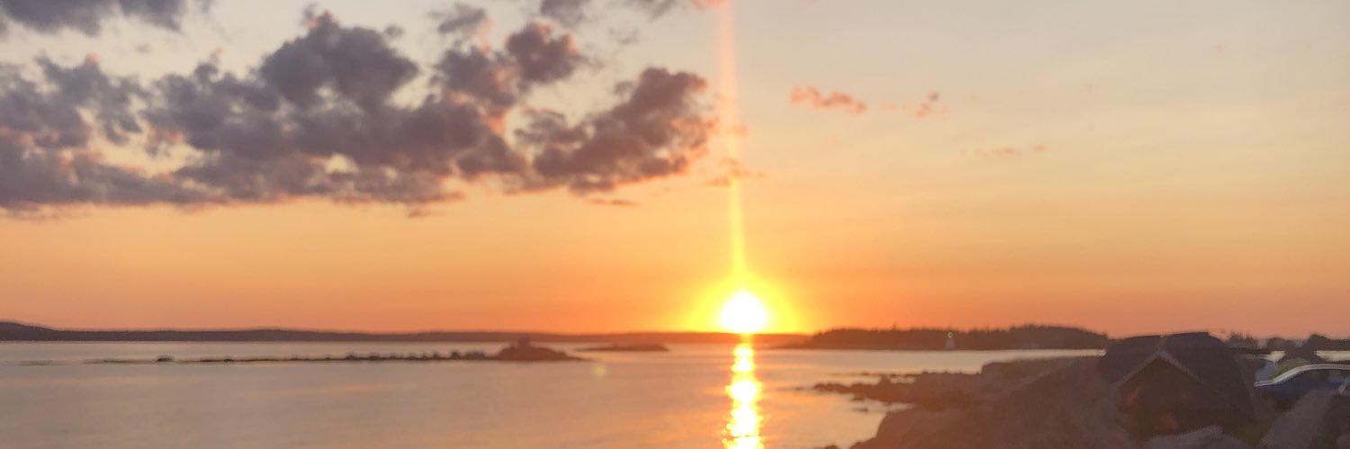 cdporter's profile banner image