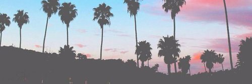 ImDyslexsic's profile banner image