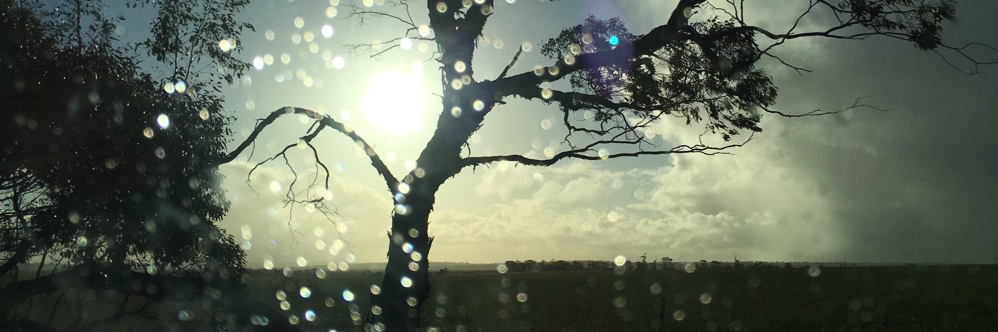 ftlam's profile banner image