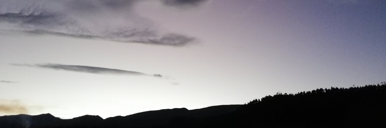 Patricio Cevallos banner