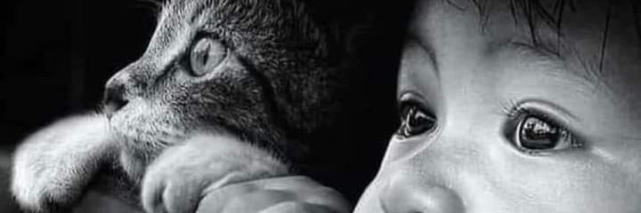 martdikech's profile banner image