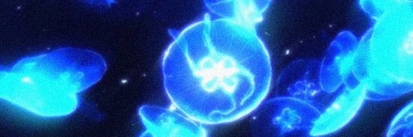 __slvx0 Profile Banner
