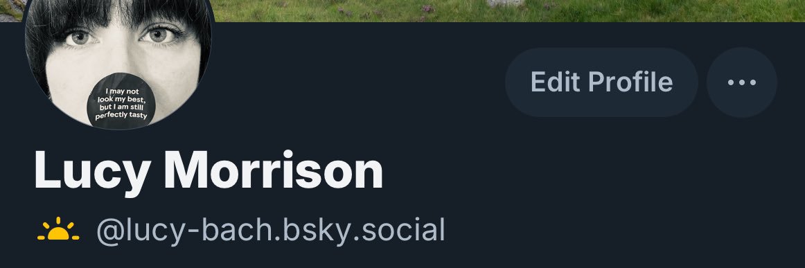 Lucy_bach's profile banner image