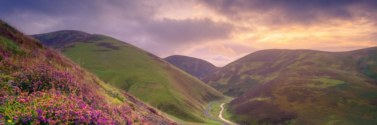 Borders Elects banner