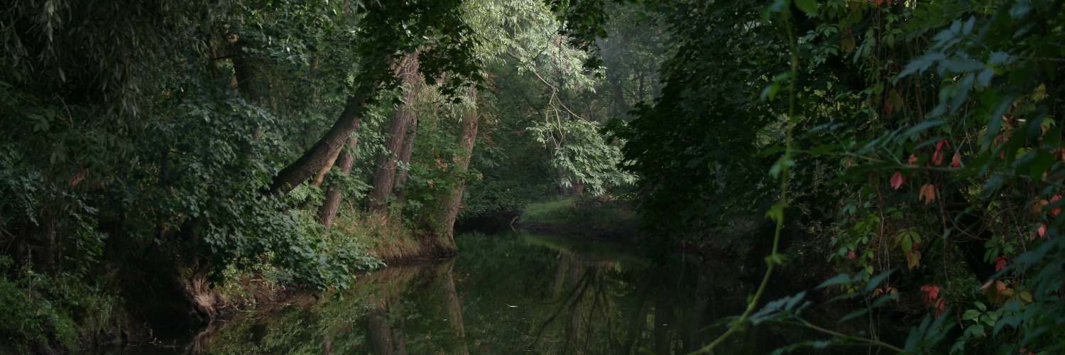 EWischt's profile banner image