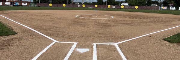 LRdiamondCats Profile Banner