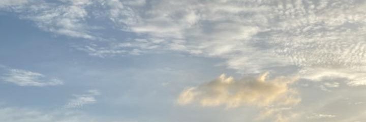 ꪀׁׅtׁׅɑׁׅ֮ꪀׁׅ banner