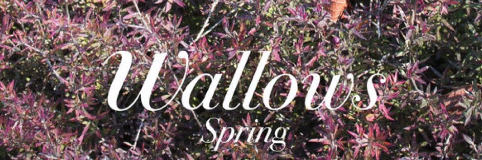 lia ⎕ 🛋️ banner