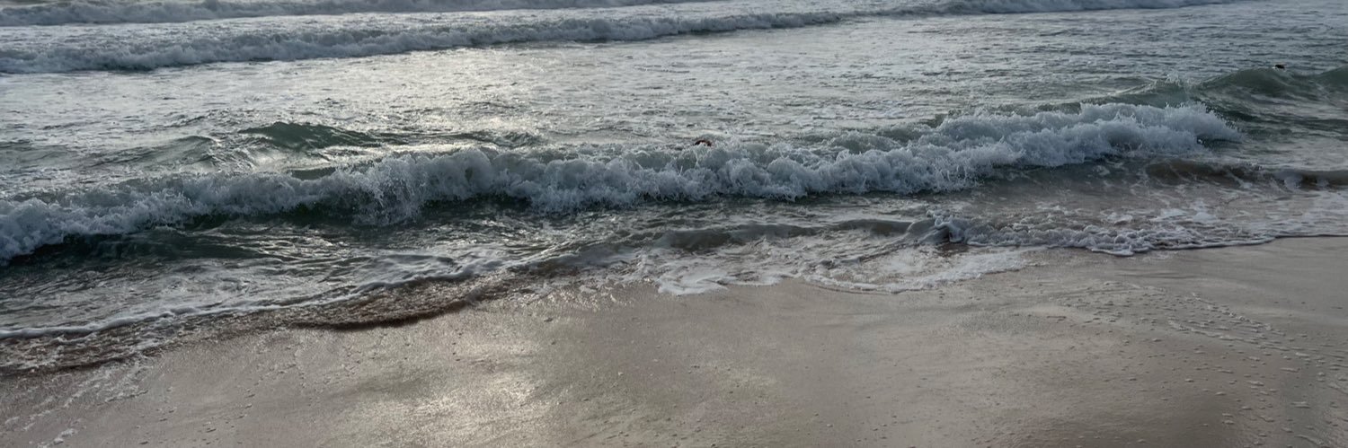 Atosa_k's profile banner image