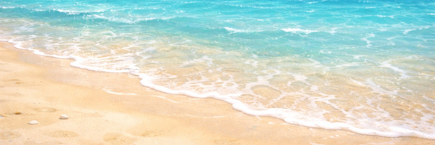 Taro Flash banner
