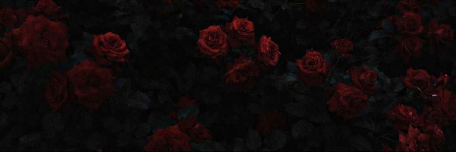 Scaramouchie1's profile banner image