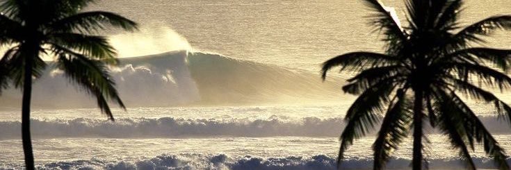_rocio_sanchezz's profile banner image