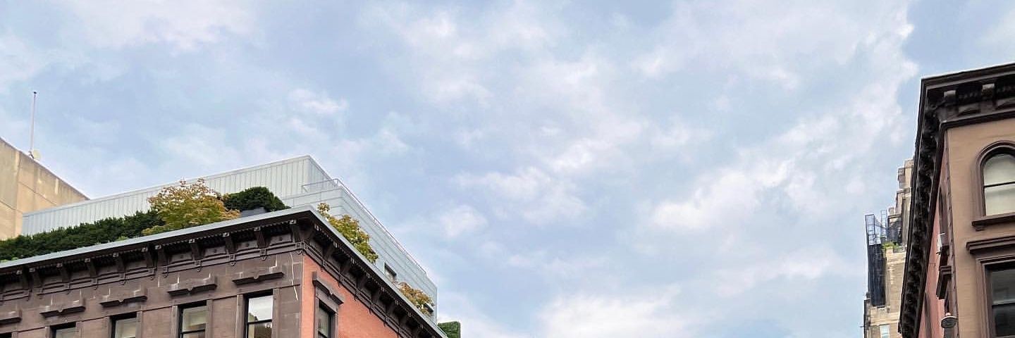 HOSHIAMBIS's profile banner image