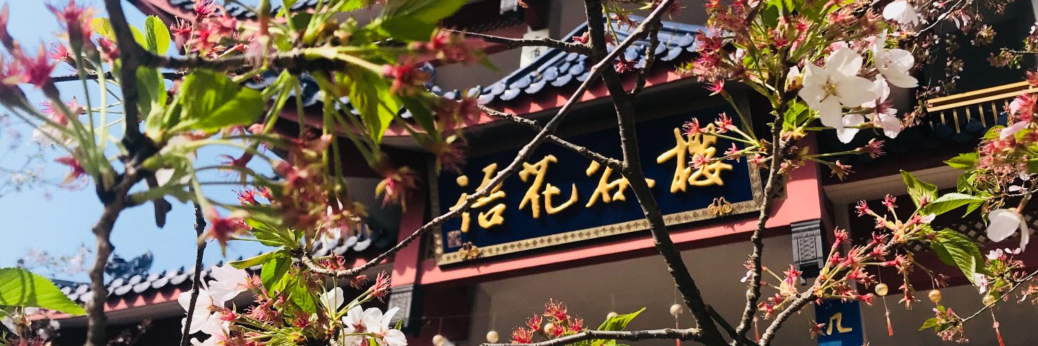Chao Zhang 张超's banner
