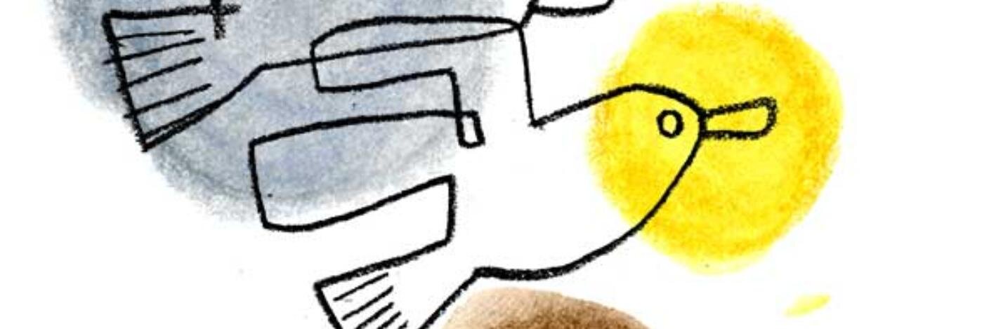 pecokao's profile banner image
