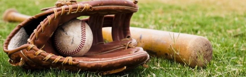 18U AAA Edmonton Expos banner