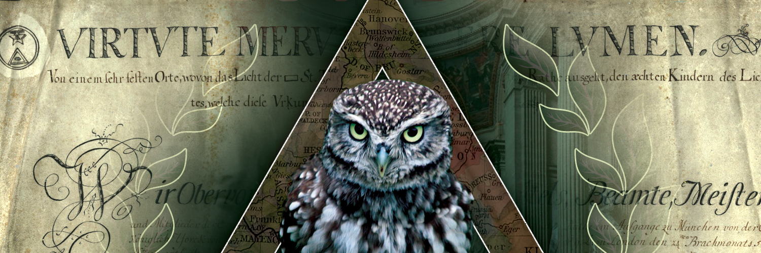 QuibusLicet's profile banner image