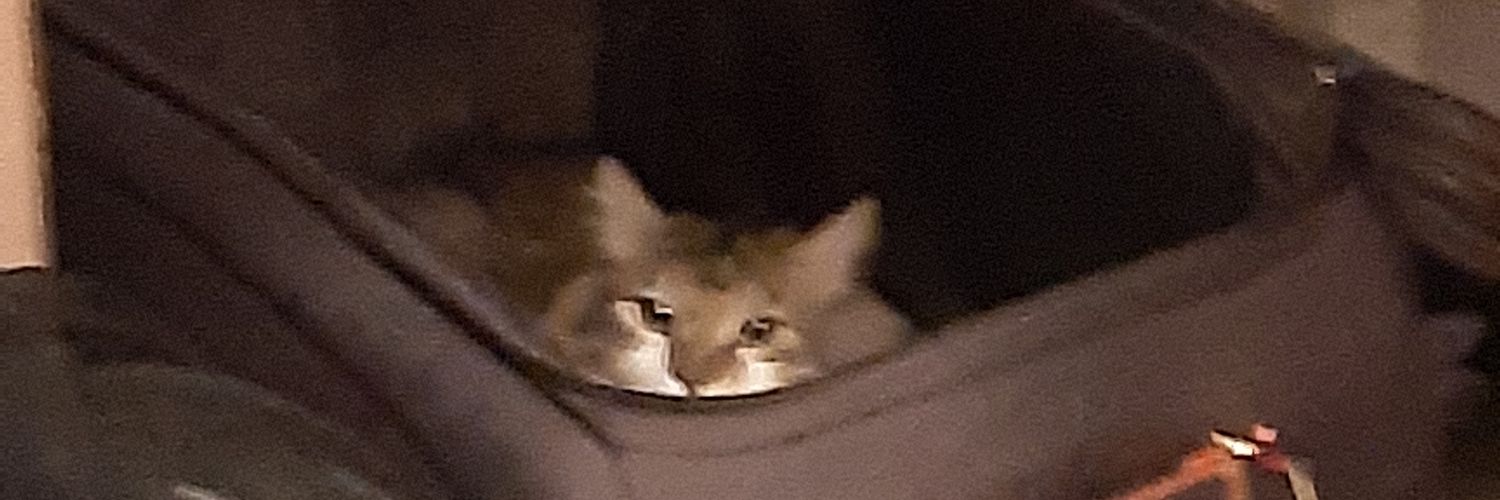 tectonicbread's profile banner image