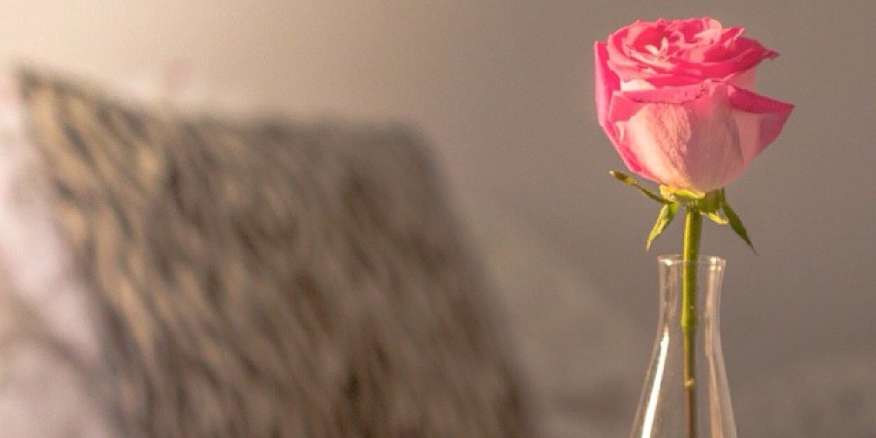 ايا banner