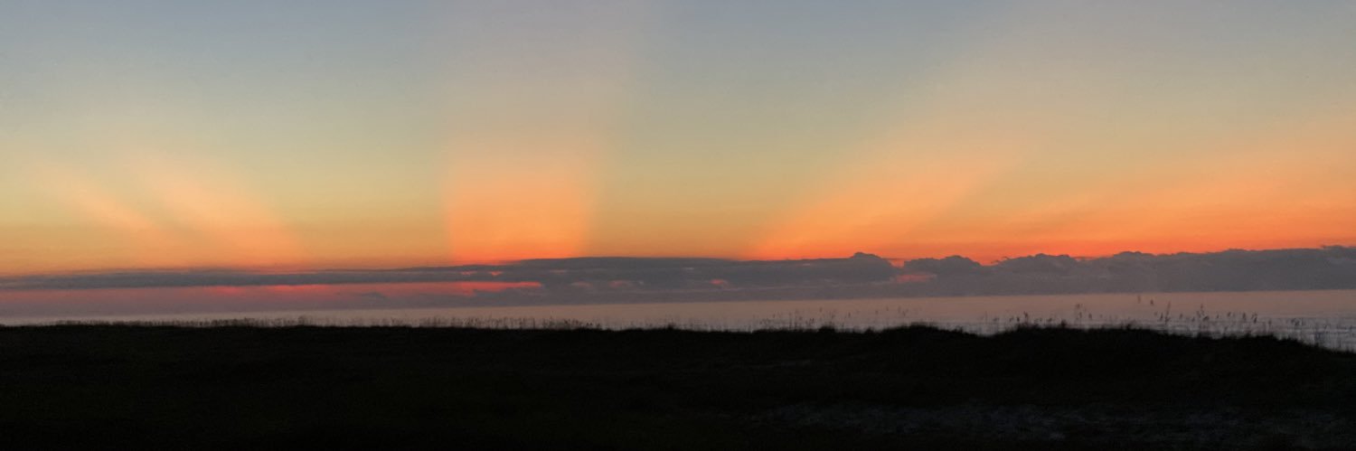 Laura Ware, Ed.D. banner