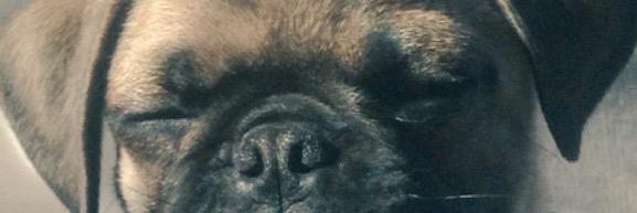 headderrrr's profile banner image