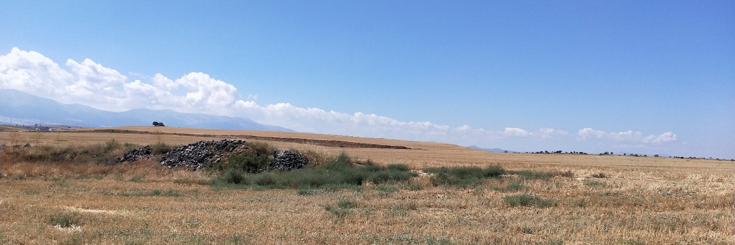 Telepinu banner