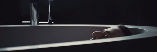 StephanieF's profile banner image