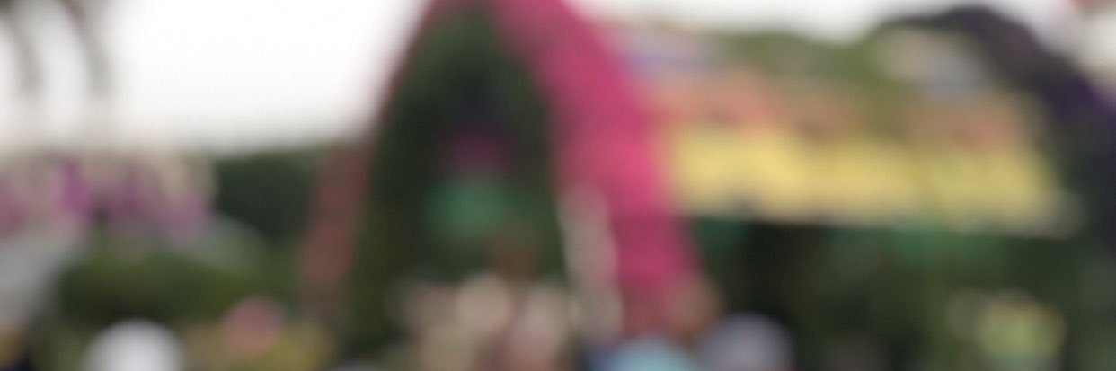 Haya_taa's profile banner image