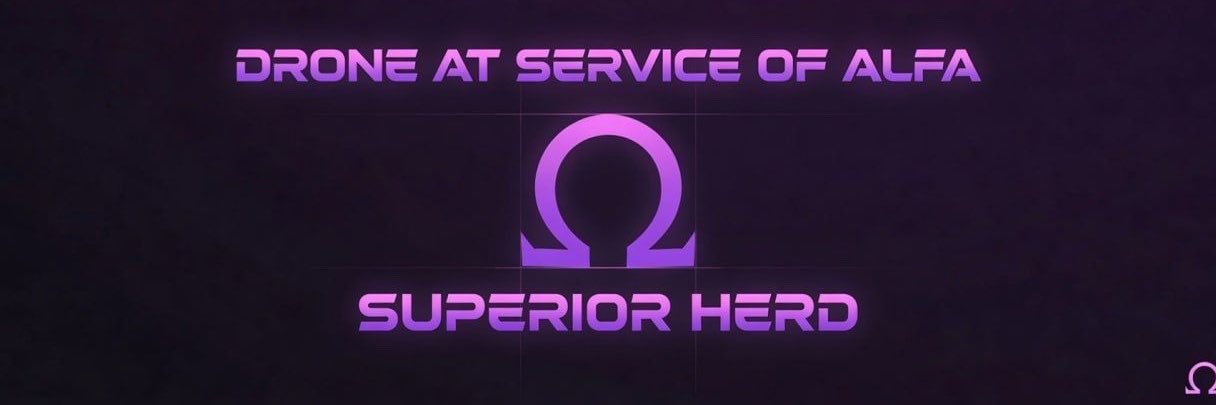 el142873's profile banner image