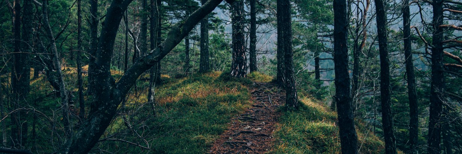 ImNotWhatUWant's profile banner image