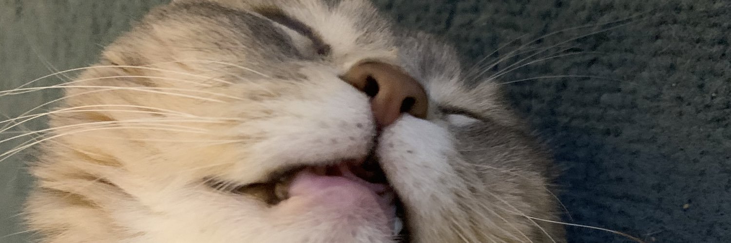 GougeJordan's profile banner image