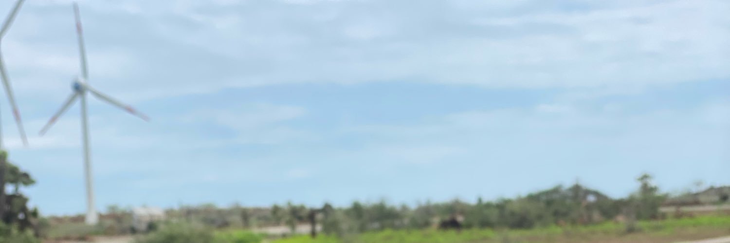 Camy2A's profile banner image