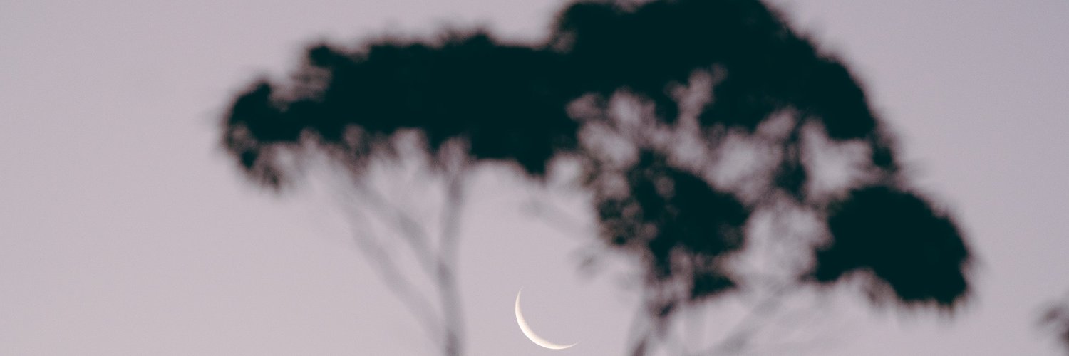 Ean Terry banner