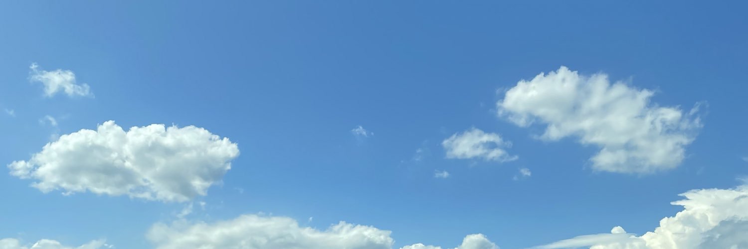 大廣アンナ banner