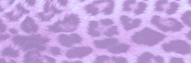 dieketsom_'s profile banner image