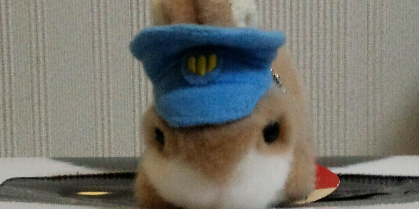 akinishim's profile banner image