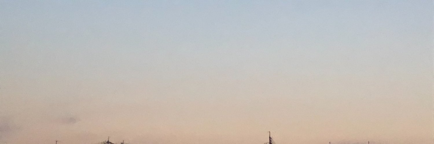 ほろおうる's banner