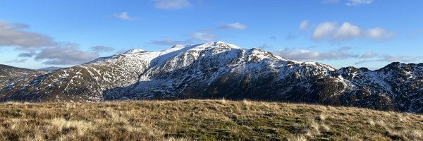 runnercake Profile Banner