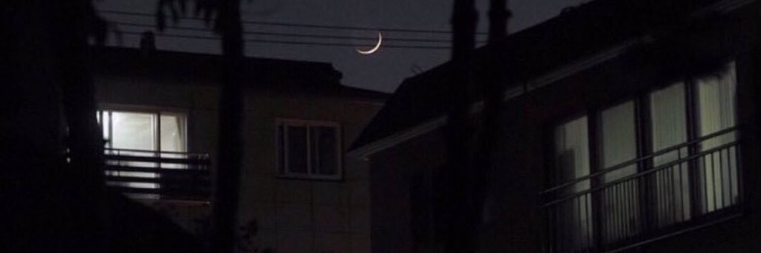 mt55513's profile banner image