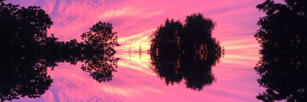 nikkisanti Profile Banner