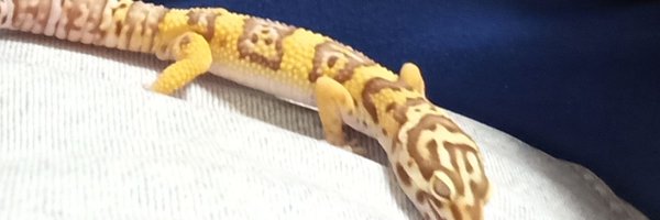 ChilChillmichel Profile Banner