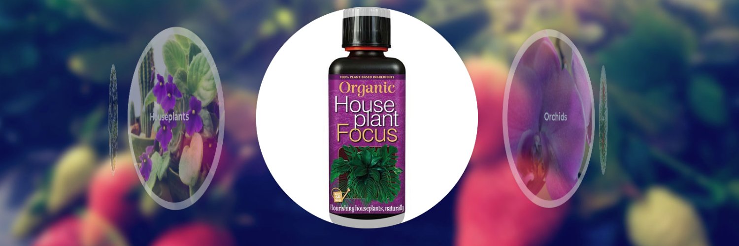 Focus On Plants banner